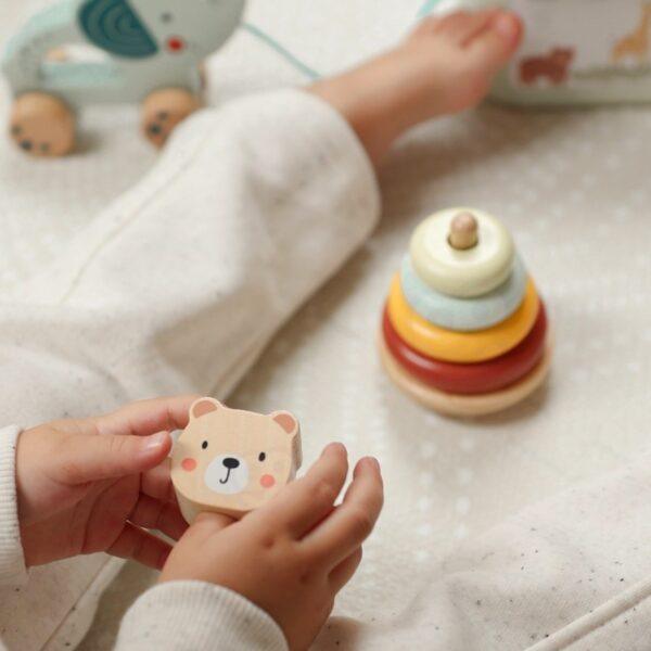 3in1 Toy Box - Sorting Blocks, Stackable Pyramid and Elephant On Wheels - Image 10