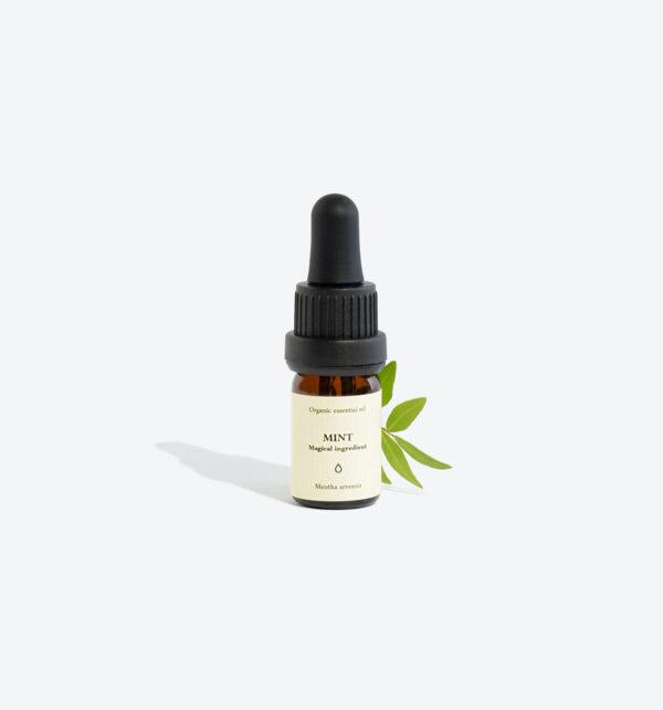 MINT Essential Oil - Image 2