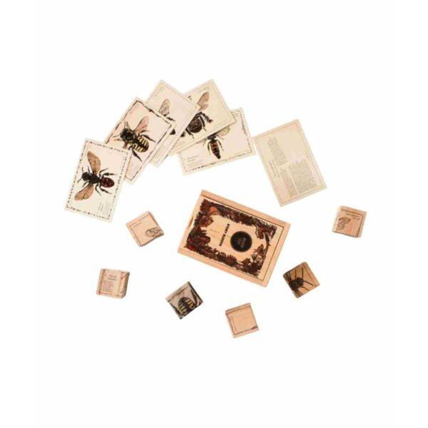 Wooden Blocks Bee Life - Species - Image 5
