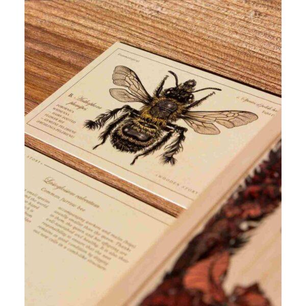 Wooden Blocks Bee Life - Species - Image 2