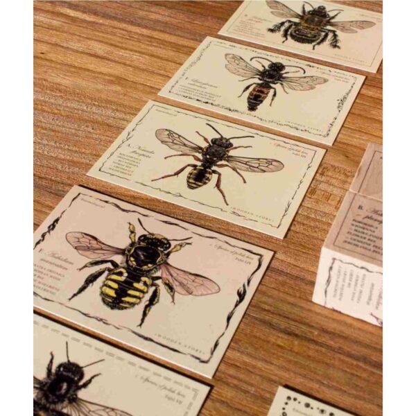 Wooden Blocks Bee Life - Species - Image 4
