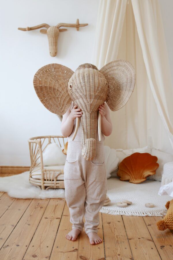 Organic Cotton Canopy - Raw Cotton - Image 4